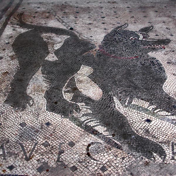 House of The Tragic Poet