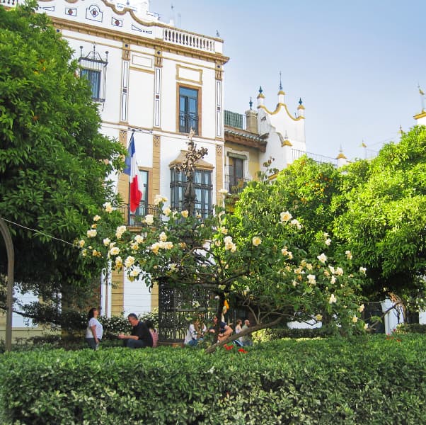 Plaza de Santa Cruz